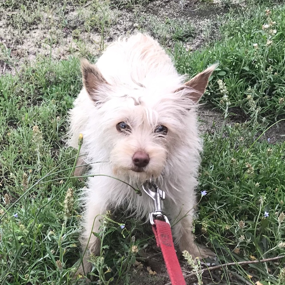 Meet your Posher, Nia